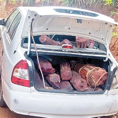 Flush with Sanders Cash, Youth Live the High Life