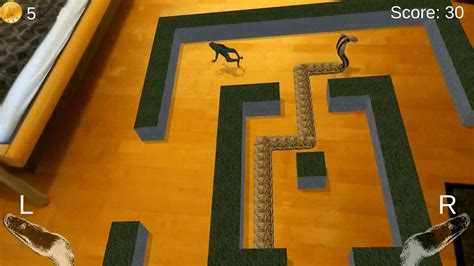 Augmented Reality Snake