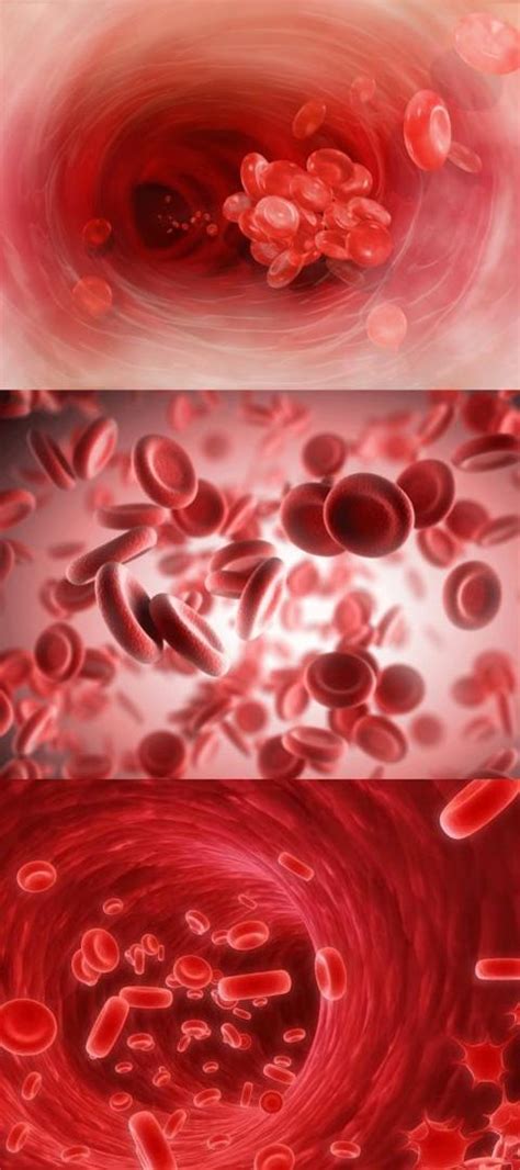 Kan Nedir - Kanın Yapısı, Özellikleri ve Görevleri