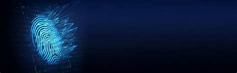 HP 4TS44AA USB Fingerprint Mouse online at low price in India from TPS ...