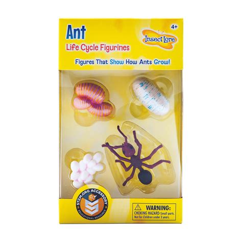 Life Cycle Of An Ant Ants Life Cycle | PBL STEAM Biomimicry Design