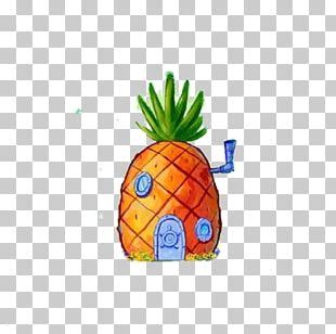 Image result for Alien Predator Saga