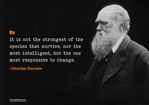 Best Nature Quotes by Scientists - Smore Science