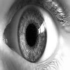 Image result for Centroid Algorithm Image Processing