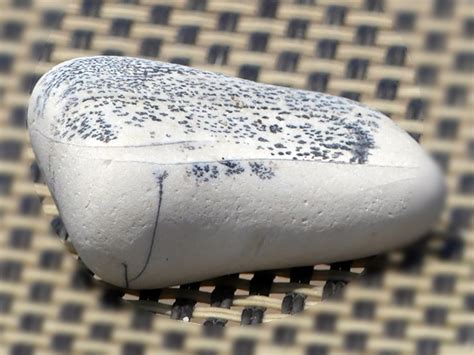 Image result for Script Require Sea