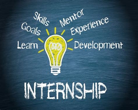Internship Program 的图像结果