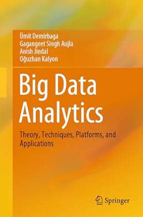Big Data Analytics: Theory, Techniques, Platforms, and Applications ...