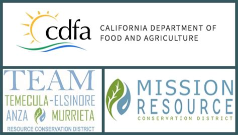 Weta Program 的图像结果