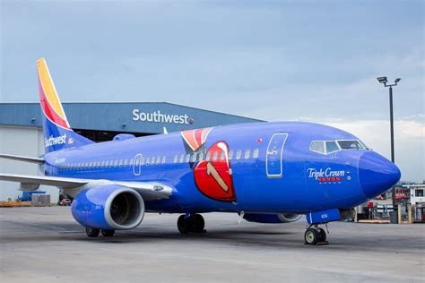 A Guide to Southwest Airlines' Pet Policy and Pet Carrier Requirements