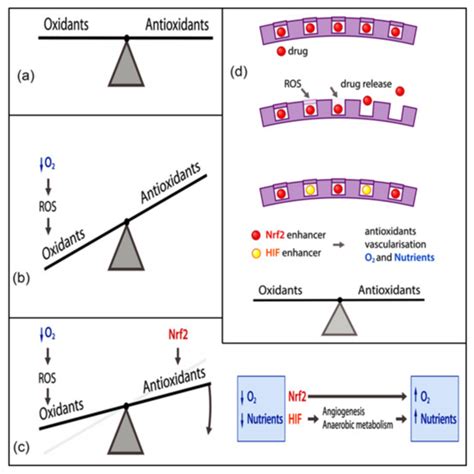 Cerium Oxide Nanoparticles: Recent Advances in Tissue Engineering