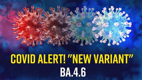 Image result for New Variant BC