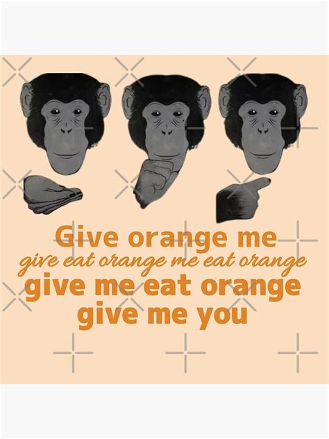 Image result for Monkey Sign Language Research