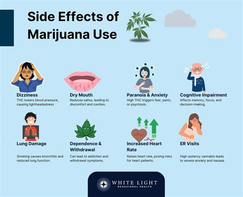 What Is Marijuana? Definition, Uses & Effects Guide