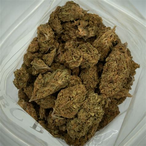 Buy 9lb Hammer Strain – Heavy-Hitting Indica Weed