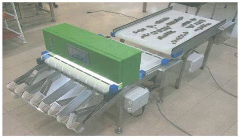 Counting Abalone with High Precision Using YOLOv3 and DeepSORT