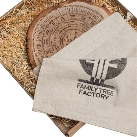 Image result for Family Tree Small Tree