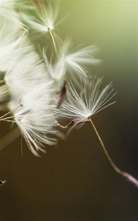 Love Nature 的图像结果