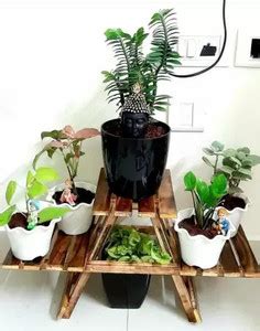 Estival craft Wooden Standfor Indoor Outdoor|Foldable Display Storage ...