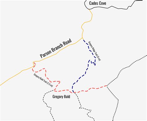 Gregory Bald Trail: Smoky Mountain Hikes - PigeonForge.com