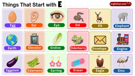 250+ Things That Start with R – Foods, Animals, Objects List