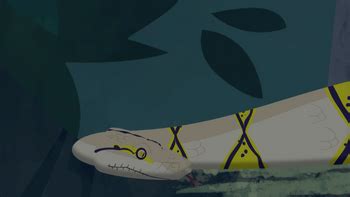 Image result for Selayer Reticulated Python