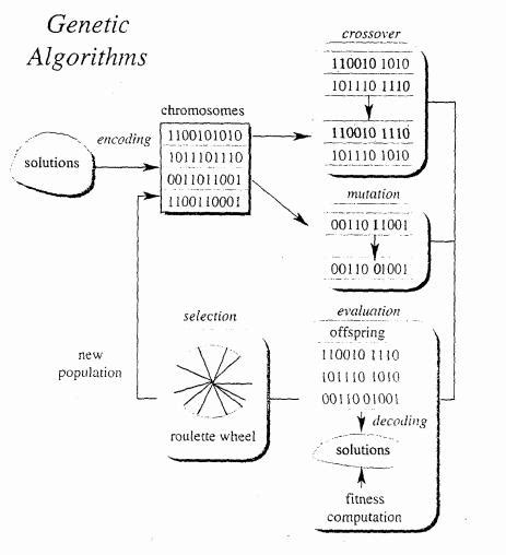 Example of Genetic Algorithm in Optimization Problem 的图像结果