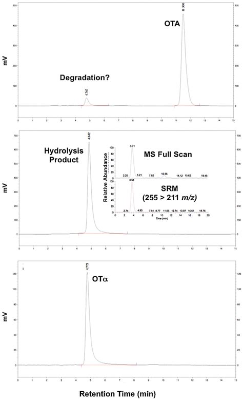 Teratogenicity of Ochratoxin A and the Degradation Product, Ochratoxin ...