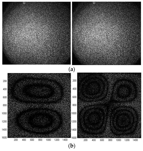 Digital Holographic Microscopy, Digital Holography and Speckle ...