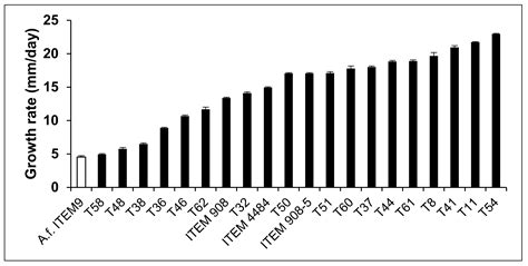 Potential of Trichoderma spp. for Biocontrol of Aflatoxin-Producing ...
