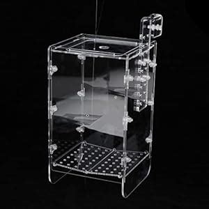 TiMi Trends Arcylic Aquarium Isolation Separation Incubating Box Young ...