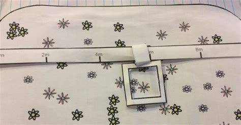 Image result for Ecological Sampling Using a Line Transect