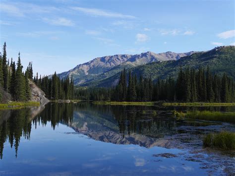 Horseshoe Lake Trail, Denali National Park in late summer 2015 [OC ...