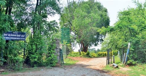 Environmentalists protest against Karnataka govt's move to convert ...