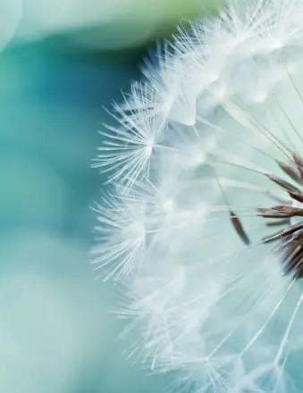 James Gary Piersall Obituary (2025) - Houston, TX - Minnehaha Funeral ...