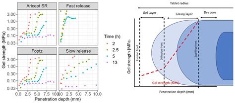 DoE- and PBBM-Driven Formulation Development of an Extended-Release ...