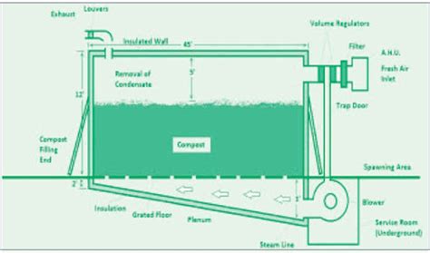 External Process - Saraa Mushroom Farm