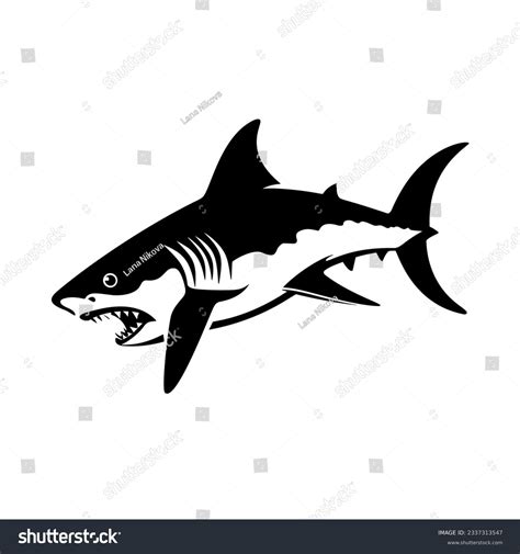 Shark Pictures Black And White