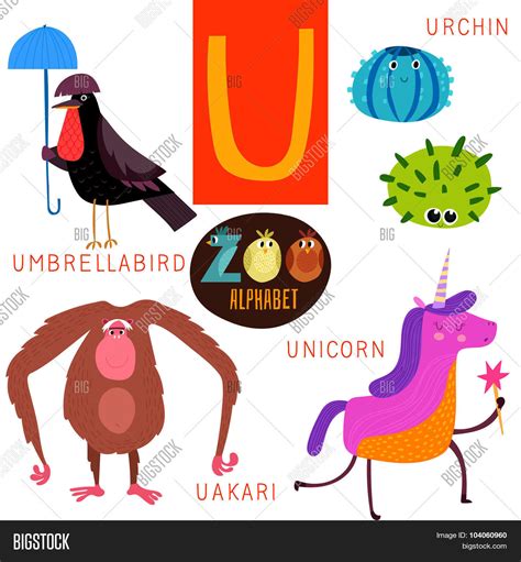 Animals That Start With The Letter U