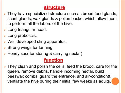 Social organization in honey bees | PPTX