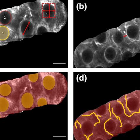 Image result for Crypt Frequency Analysis