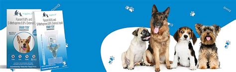 WIGGLES Eraditch Spot on for Dogs Fleas Ticks Remover Treatment Drops ...