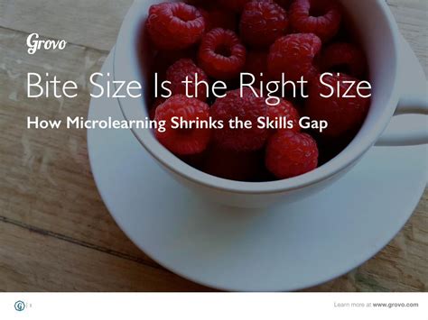 Image result for Computer Science Size Bite