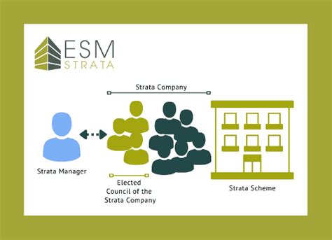 Image result for strata