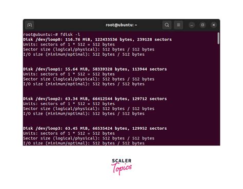 Image result for Disk Inter Linux