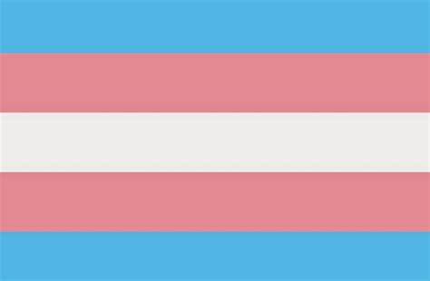 Using STP Device 的图像结果