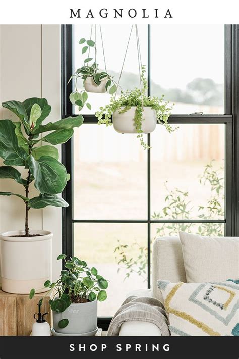 Magnolia Spring Collection 2022 的图像结果