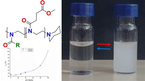 Thermal Properties of Methyl Ester-Containing Poly(2-oxazoline)s