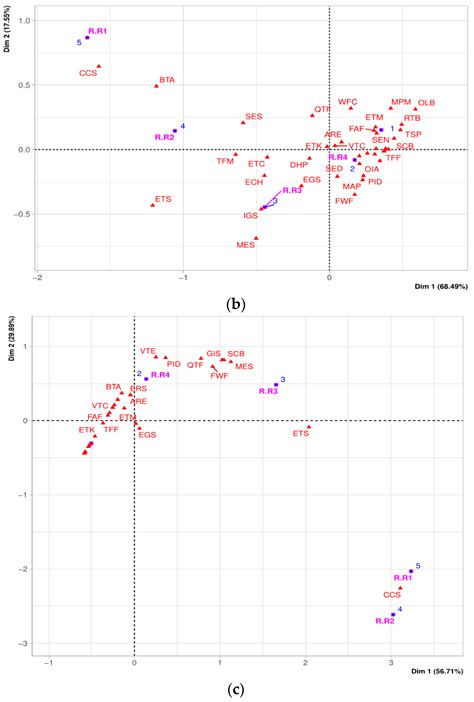 An Evaluation of the Importance of Smart Tourism Tools in the Riobamba ...