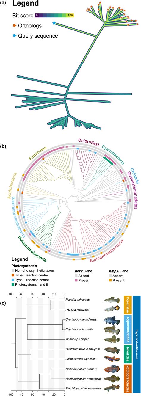 TreeViewer JavaScript 的图像结果