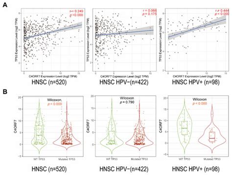Biomolecules | Special Issue : Immune-Related Biomarkers
